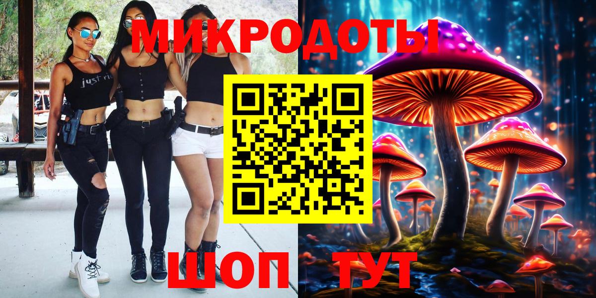 Псилоцибиновые грибы Cubensis Ржев