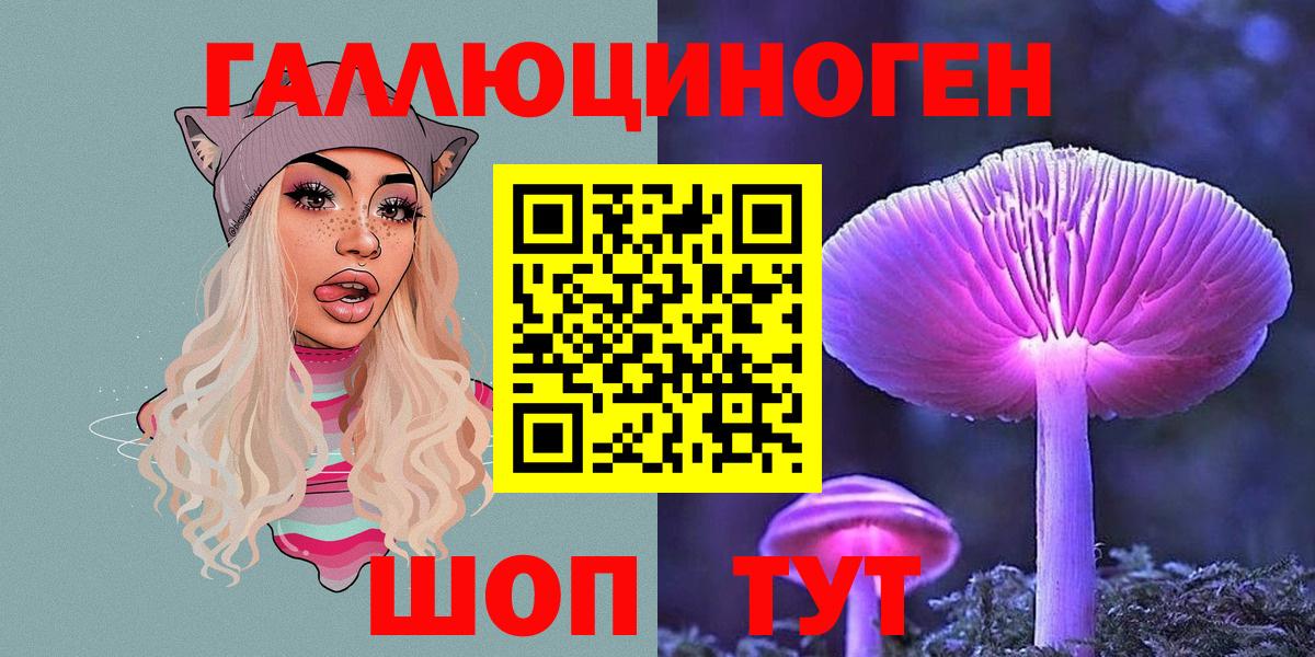 Галлюциногенные грибы Psilocybe  купить  цена  Ржев  Вход с VPN 